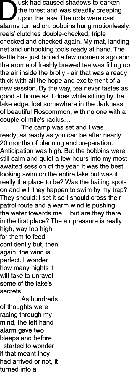 Dusk had caused shadows to darken the forest and was steadily creeping upon the lake. The rods were cast, alarms turn...