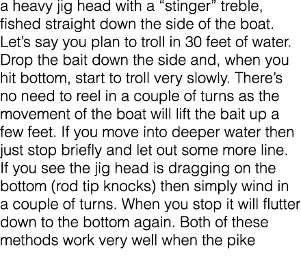 a heavy jig head with a “stinger” treble, fished straight down the side of the boat. Let’s say you plan to troll in 3...