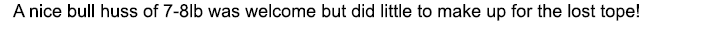  A nice bull huss of 7-8lb was welcome but did little to make up for the lost tope!
