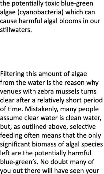 the potentially toxic blue-green algae (cyanobacteria) which can cause harmful algal blooms in our stillwaters.   Fil...