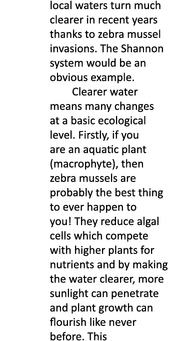local waters turn much clearer in recent years thanks to zebra mussel invasions. The Shannon system would be an obvio...