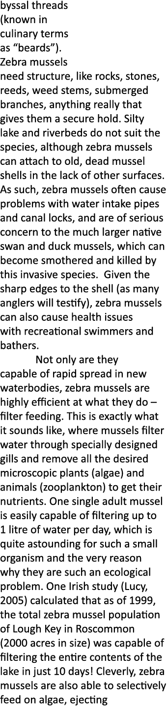 byssal threads (known in culinary terms as “beards”). Zebra mussels need structure, like rocks, stones, reeds, weed s...