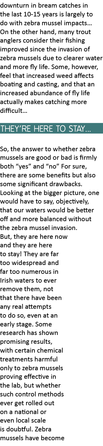 downturn in bream catches in the last 10-15 years is largely to do with zebra mussel impacts… On the other hand, many...