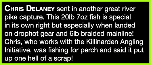 Chris Delaney sent in another great river pike capture. This 20lb 7oz fish is special in its own right but especially...