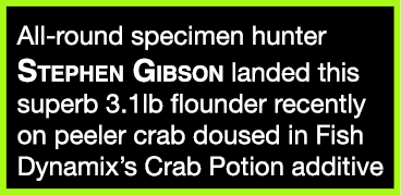 All-round specimen hunter Stephen Gibson landed this superb 3.1lb flounder recently on peeler crab doused in Fish Dyn...