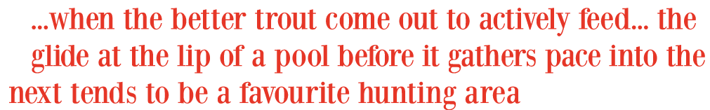...when the better trout come out to actively feed... the glide at the lip of a pool before it gathers pace into the ...