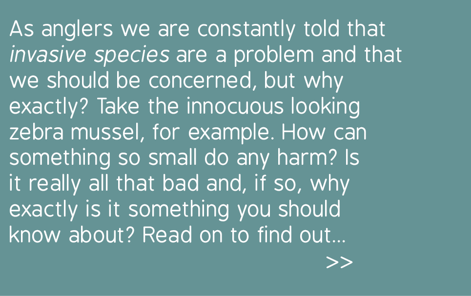  As anglers we are constantly told that invasive species are a problem and that we should be concerned, but why exact...