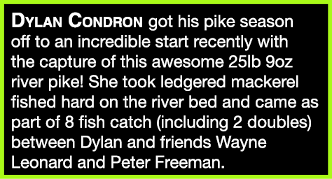Dylan Condron got his pike season off to an incredible start recently with the capture of this awesome 25lb 9oz river...