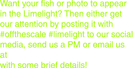 Want your fish or photo to appear in the Limelight? Then either get our attention by posting it with #offthescale #li...