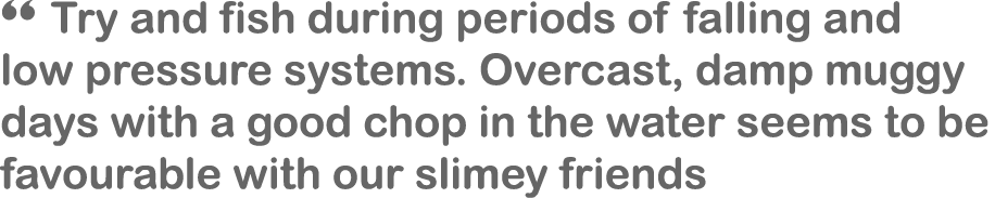 “ Try and fish during periods of falling and low pressure systems. Overcast, damp muggy days with a good chop in the ...