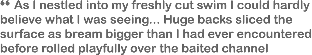 “ As I nestled into my freshly cut swim I could hardly believe what I was seeing... Huge backs sliced the surface as ...