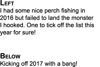 Left I had some nice perch fishing in 2016 but failed to land the monster I hooked. One to tick off the list this yea...