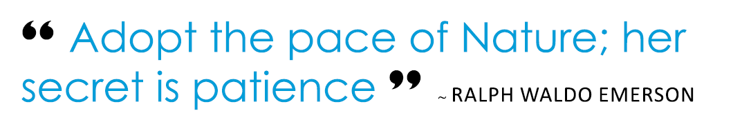 “ Adopt the pace of Nature; her secret is patience ”  ~ Ralph waldo Emerson