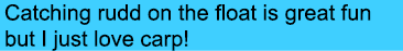 Catching rudd on the float is great fun but I just love carp!