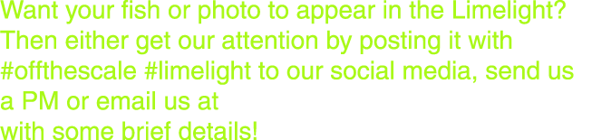 Want your fish or photo to appear in the Limelight? Then either get our attention by posting it with #offthescale #li...