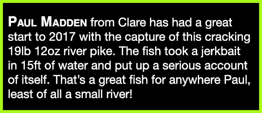 Paul Madden from Clare has had a great start to 2017 with the capture of this cracking 19lb 12oz river pike. The fish...