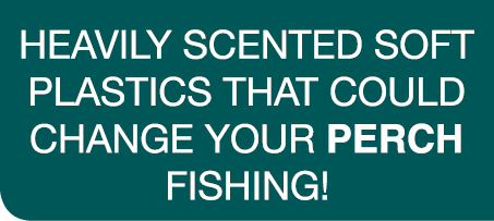 heavily Scented soft plastics that could change your perch fishing!