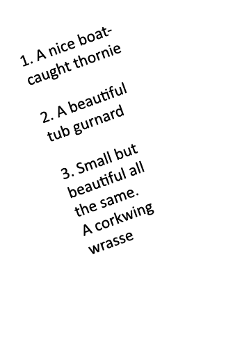 1. A nice boat-caught thornie 2. A beautiful tub gurnard 3. Small but beautiful all the same. A corkwing wrasse 