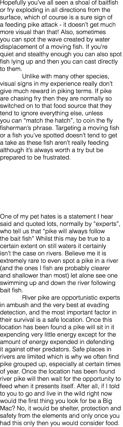 Hopefully you’ve all seen a shoal of baitfish or fry exploding in all directions from the surface, which of course is...