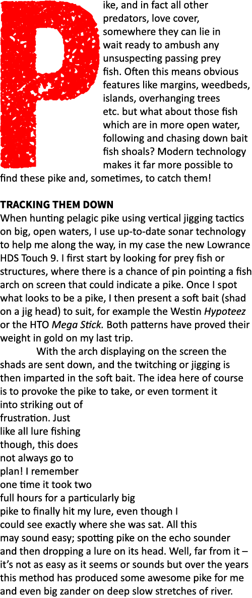 Pike, and in fact all other predators, love cover, somewhere they can lie in wait ready to ambush any unsuspecting pa...