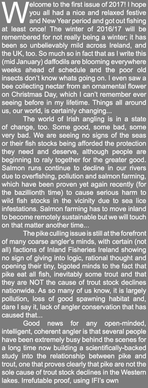 Welcome to the first issue of 2017! I hope you all had a nice and relaxed festive and New Year period and got out fis...