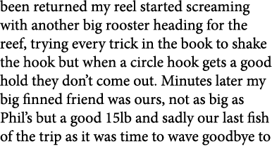 been returned my reel started screaming with another big rooster heading for the reef, trying every trick in the book...