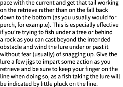 pace with the current and get that tail working on the retrieve rather than on the fall back down to the bottom (as y...