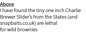 Above I have found the tiny one inch Charlie Brewer Slider’s from the States (and snapbaits.co.uk) are lethal for wil...