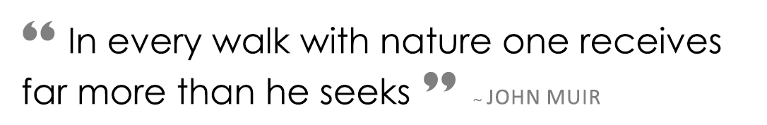 “ In every walk with nature one receives far more than he seeks ”  ~ John muir