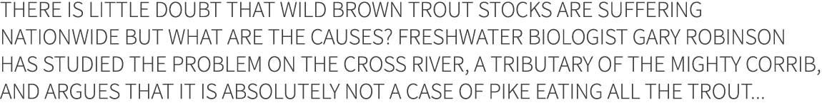 There is little doubt that wild brown trout stocks are suffering nationwide but what are the causes? Freshwater biolo...