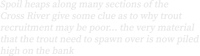 Spoil heaps along many sections of the Cross River give some clue as to why trout recruitment may be poor... the very...