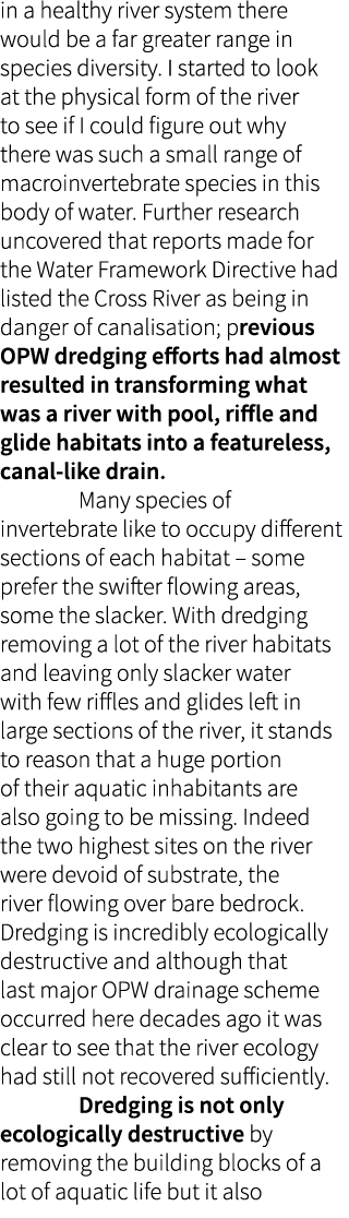 in a healthy river system there would be a far greater range in species diversity. I started to look at the physical ...