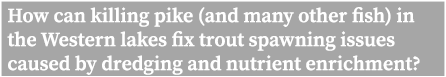 How can killing pike (and many other fish) in the Western lakes fix trout spawning issues caused by dredging and nutr...