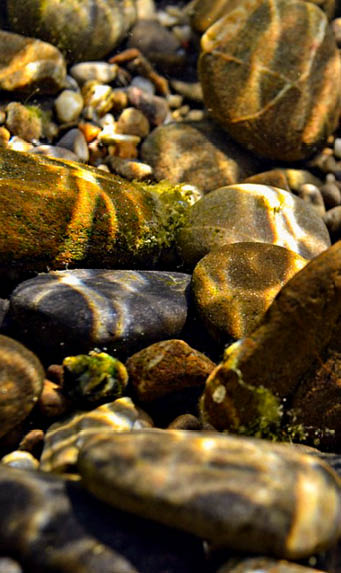 Rocks Underwater Water Stones River Nature