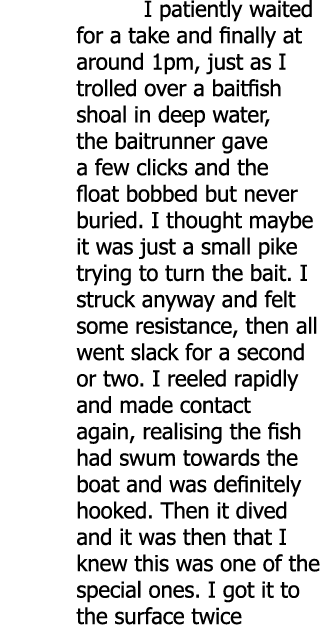 I patiently waited for a take and finally at around 1pm, just as I trolled over a baitfish shoal in deep water, the ...