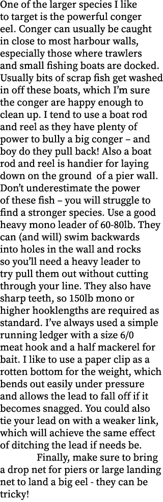 One of the larger species I like to target is the powerful conger eel. Conger can usually be caught in close to most ...