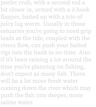peeler crab, with a second rod a bit closer in, armed with a 3-hook flapper, baited up with a trio of juicy lug worm....