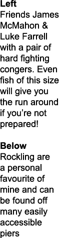Left Friends James McMahon & Luke Farrell with a pair of hard fighting congers. Even fish of this size will give you ...