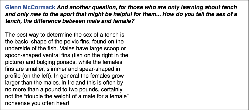 Glenn McCormack And another question, for those who are only learning about tench and only new to the sport that migh...