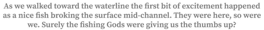 As we walked toward the waterline the first bit of excitement happened as a nice fish broking the surface mid-channel...