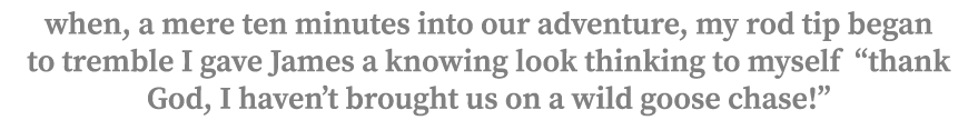 when, a mere ten minutes into our adventure, my rod tip began to tremble I gave James a knowing look thinking to myse...