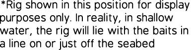 *Rig shown in this position for display purposes only. In reality, in shallow water, the rig will lie with the baits ...