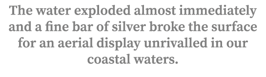 The water exploded almost immediately and a fine bar of silver broke the surface for an aerial display unrivalled in ...