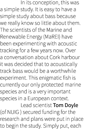  In its conception, this was a simple study. It is easy to have a simple study about bass because we really know so l...