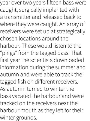 year over two years fifteen bass were caught, surgically implanted with a transmitter and released back to where they...