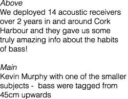 Above We deployed 14 acoustic receivers over 2 years in and around Cork Harbour and they gave us some truly amazing i...