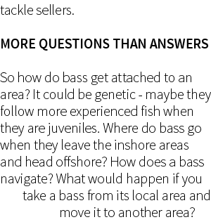 tackle sellers.  More questions than answers So how do bass get attached to an area? It could be genetic - maybe they...