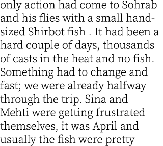 only action had come to Sohrab and his flies with a small hand-sized Shirbot fish . It had been a hard couple of days...