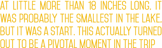 At little more than 18 inches long, it was probably the smallest in the lake, but it was a start. This actually turne...
