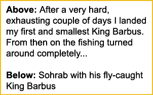 Above: After a very hard, exhausting couple of days I landed my first and smallest King Barbus. From then on the fish...